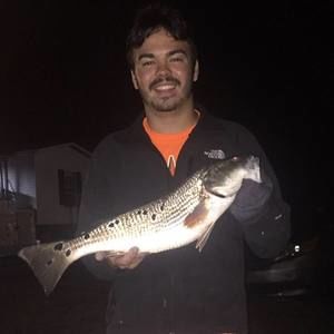 Meet your Posher, Andrew